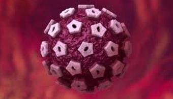 Virus del Papiloma Humano